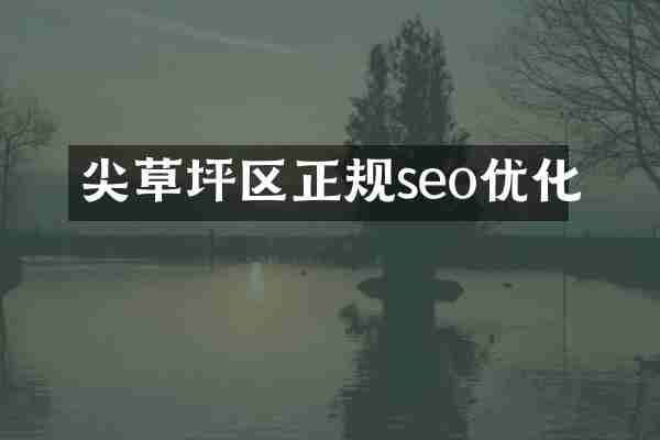 尖草坪区正规seo优化