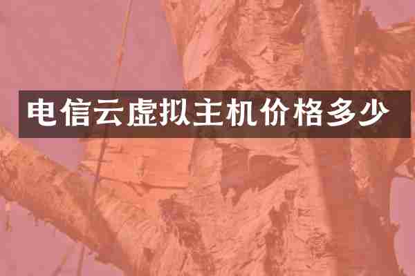 电信云虚拟主机价格多少