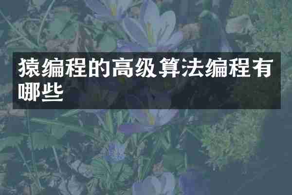 猿编程的高级算法编程有哪些