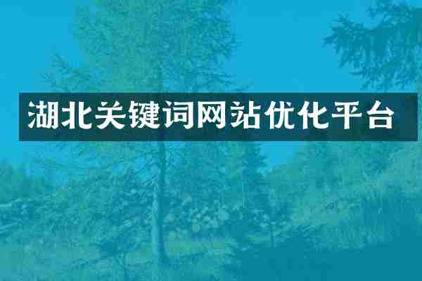 湖北关键词网站优化平台