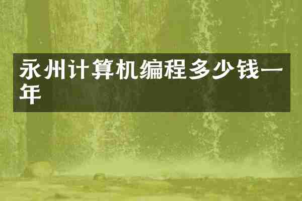 永州计算机编程多少钱一年
