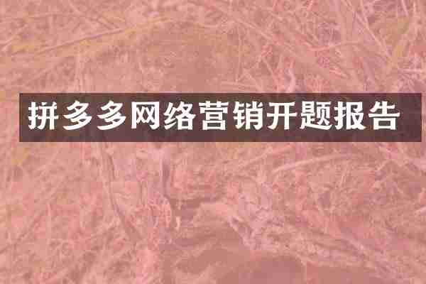 拼多多网络营销开题报告
