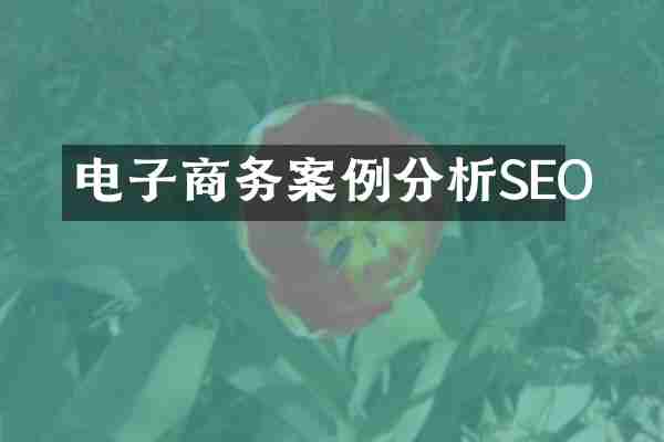 电子商务案例分析SEO