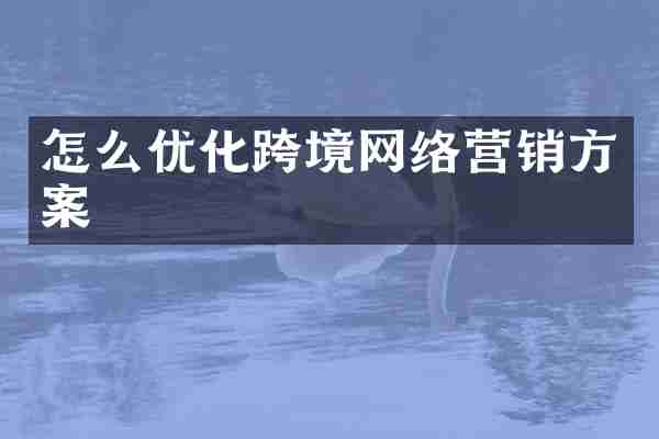 怎么优化跨境网络营销方案