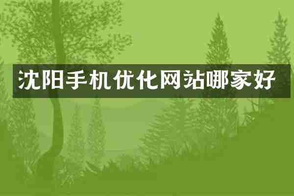 沈阳手机优化网站哪家好