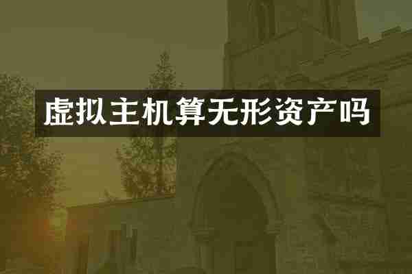 虚拟主机算无形资产吗