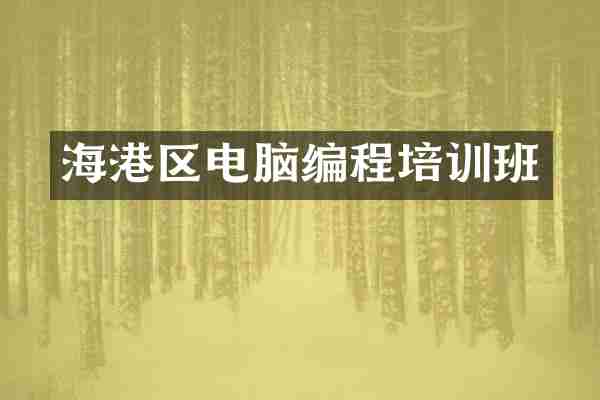 海港区电脑编程培训班