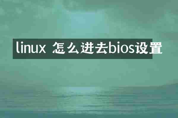 linux 怎么进去bios设置