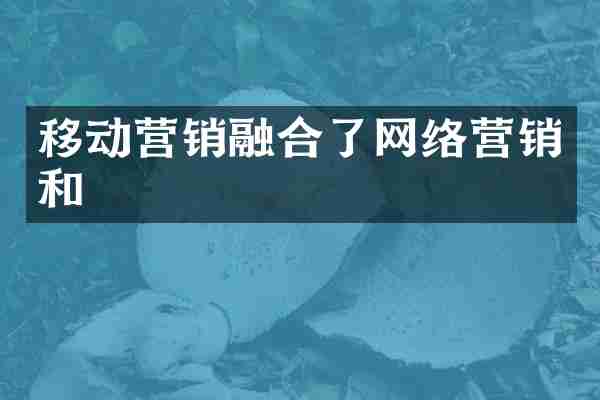 移动营销融合了网络营销和