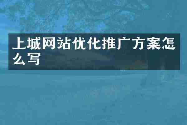 上城网站优化推广方案怎么写