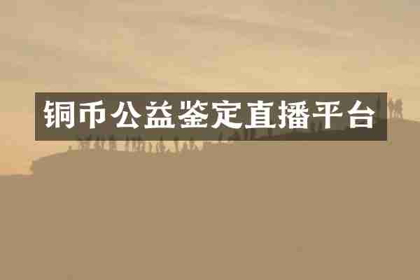铜币公益鉴定直播平台