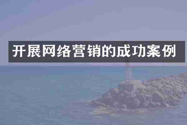 开展网络营销的成功案例