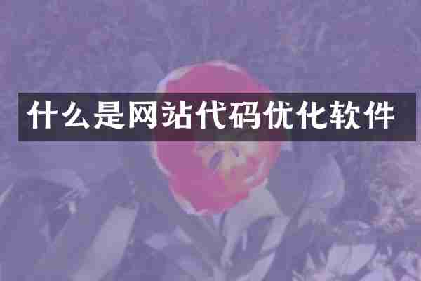 什么是网站代码优化软件