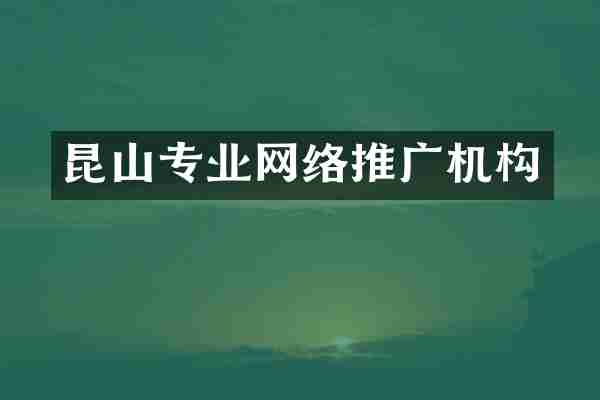 昆山专业网络推广机构