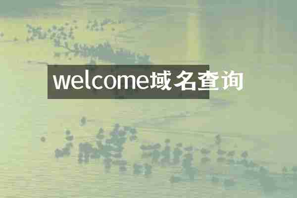 welcome域名查询