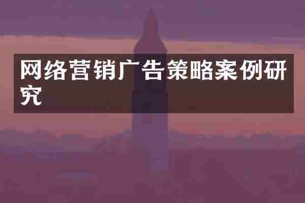 网络营销广告策略案例研究