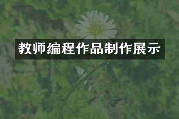 教师编程作品制作展示