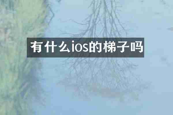 有什么ios的梯子吗