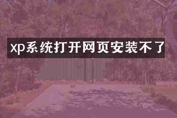 xp系统打开网页安装不了