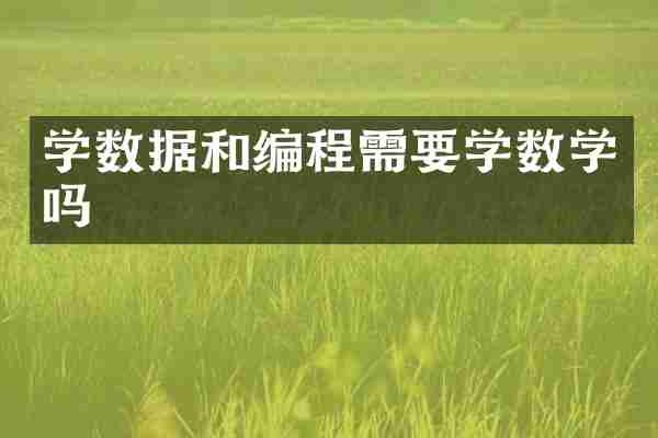 学数据和编程需要学数学吗