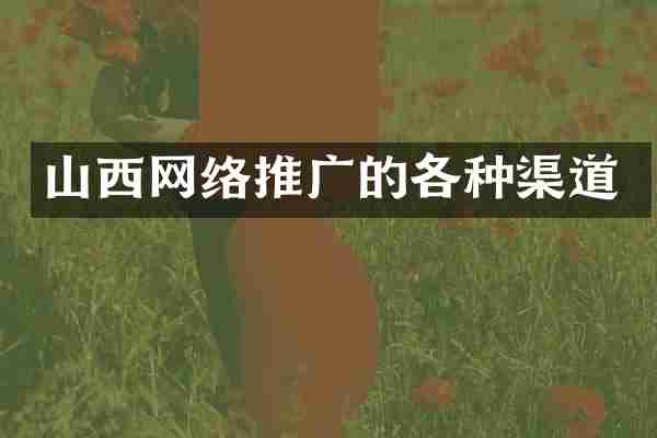 山西网络推广的各种渠道