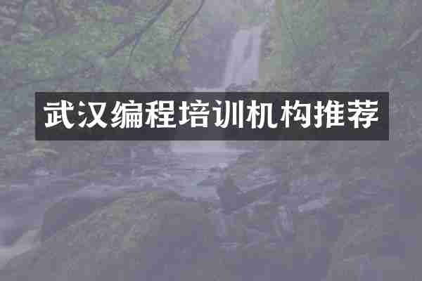 武汉编程培训机构推荐