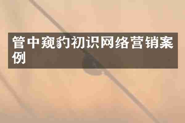 管中窥豹初识网络营销案例