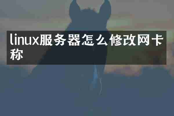 linux服务器怎么修改网卡名称