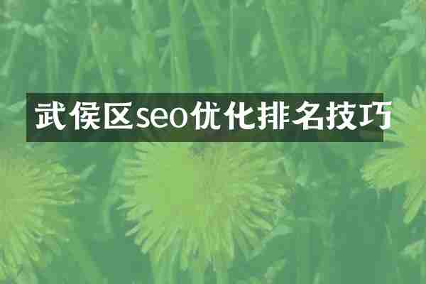 武侯区seo优化排名技巧