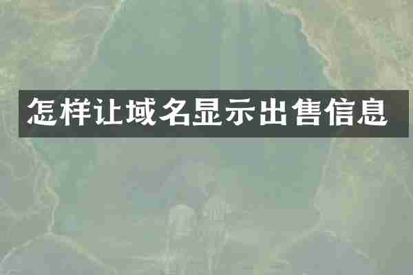 怎样让域名显示出售信息