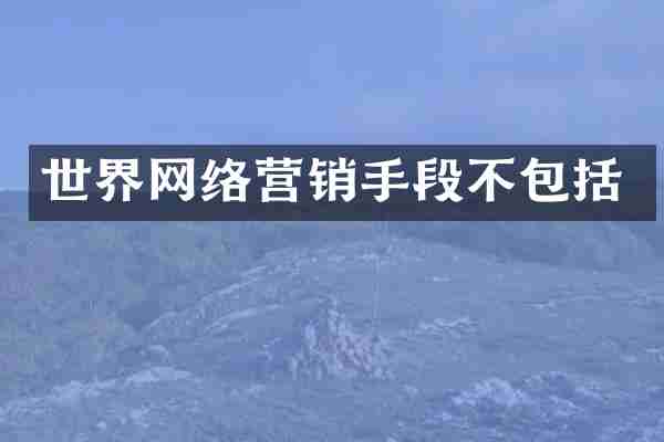 世界网络营销手段不包括