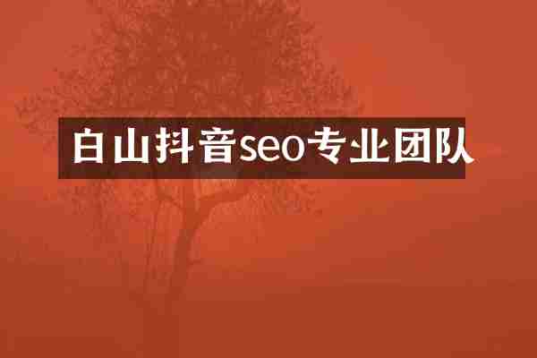白山抖音seo专业团队