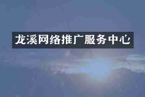 龙溪网络推广服务中心