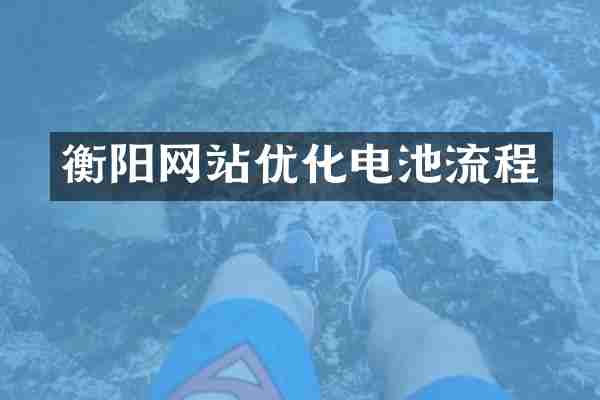 衡阳网站优化电池流程