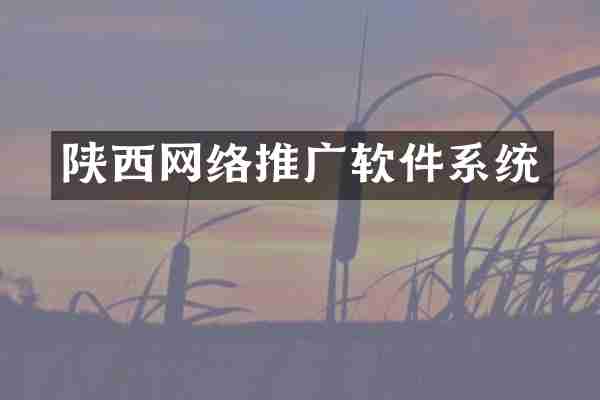 陕西网络推广软件系统