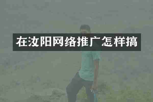 在汝阳网络推广怎样搞