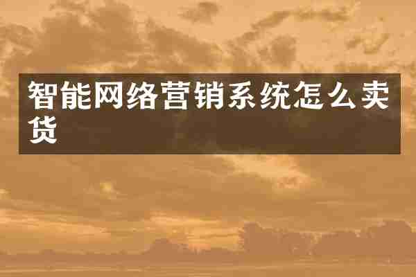智能网络营销系统怎么卖货
