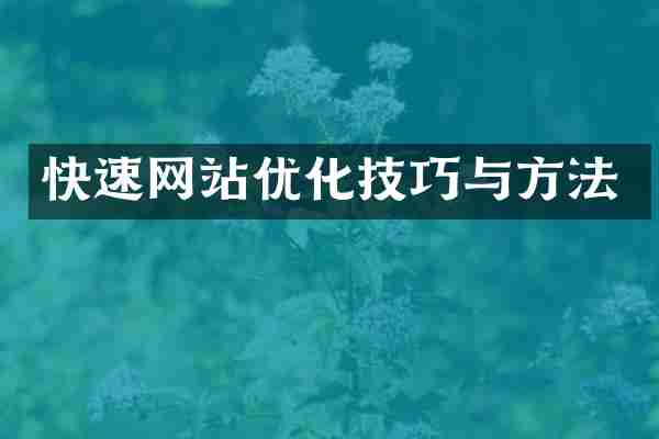 快速网站优化技巧与方法
