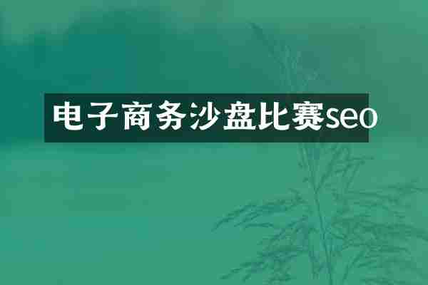 电子商务沙盘比赛seo