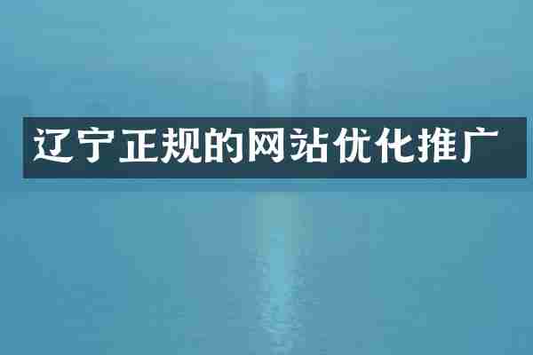 辽宁正规的网站优化推广