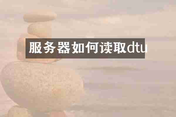 服务器如何读取dtu