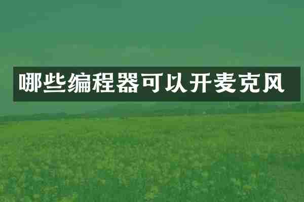 哪些编程器可以开麦克风
