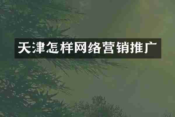 天津怎样网络营销推广
