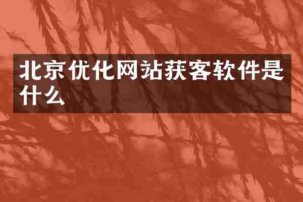 北京优化网站获客软件是什么