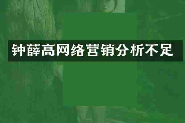 钟薛高网络营销分析不足