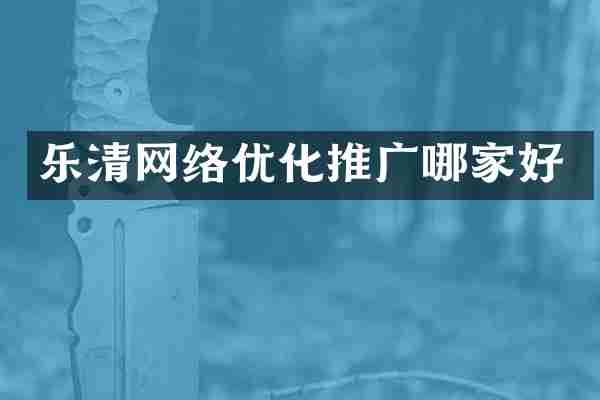 乐清网络优化推广哪家好