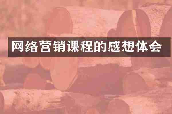 网络营销课程的感想体会