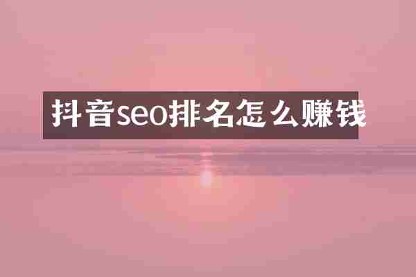抖音seo排名怎么赚钱