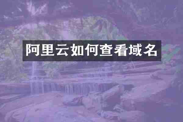 阿里云如何查看域名