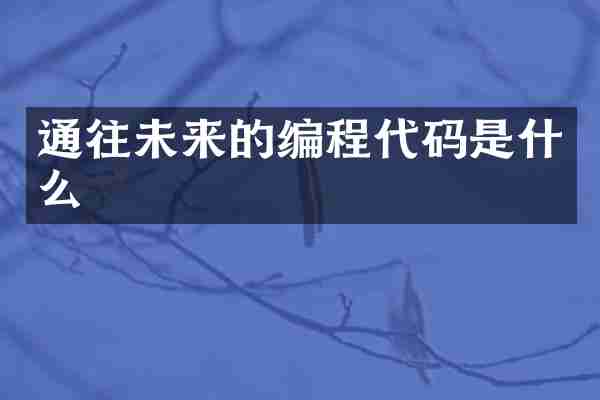 通往未来的编程代码是什么